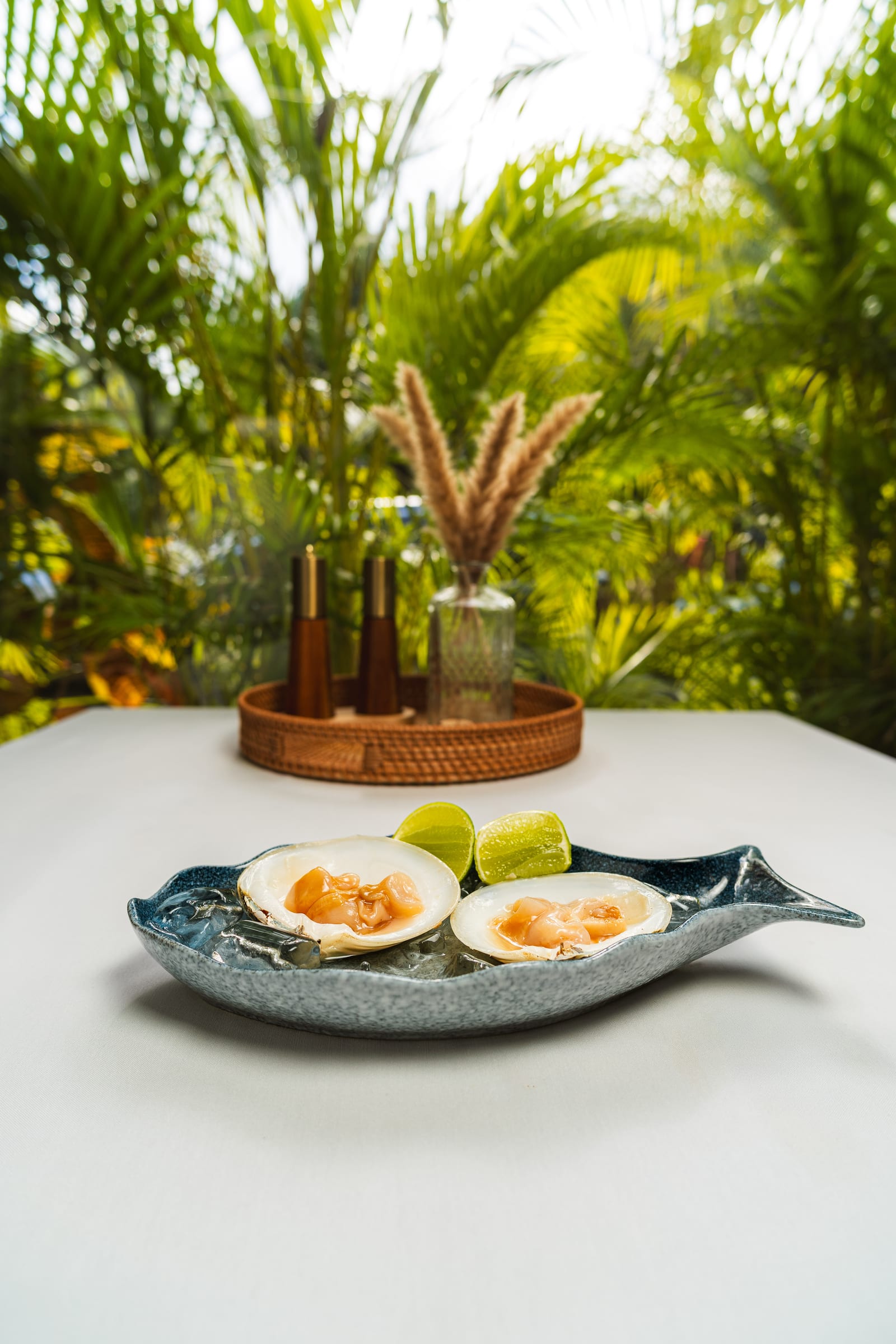 Almejas frescas preparadas en su concha con salsa y limón en la barra fría de MERO 18, Centro de Cancún