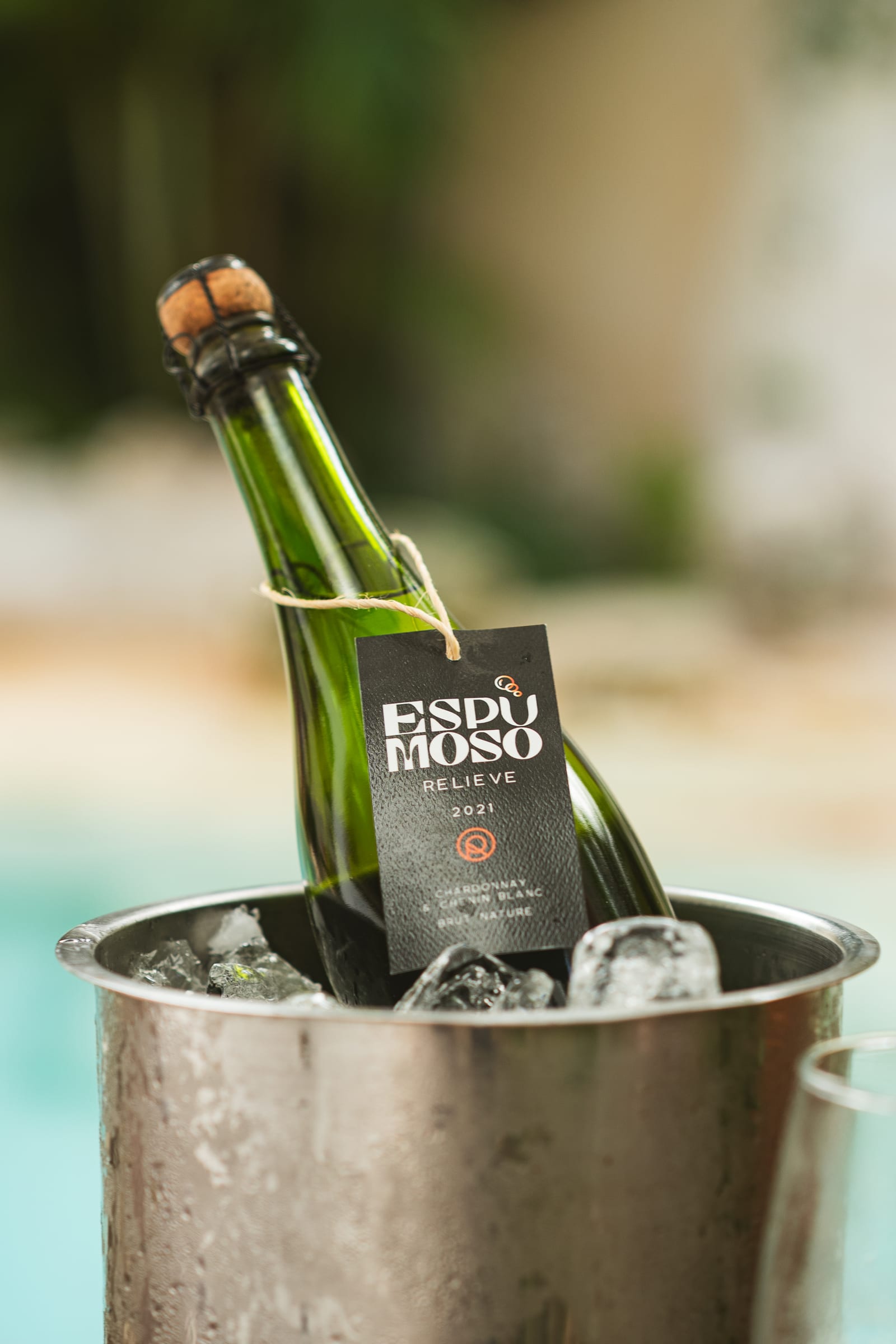 Bottle of Mexican sparkling wine Relieve chilling in an ice bucket beside the MERO 18 garden