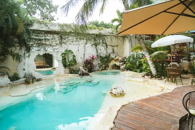 Cenote-style pool with waterfall, vine-covered walls and palms at Mezcal Boutique Hotel, home of MERO 18