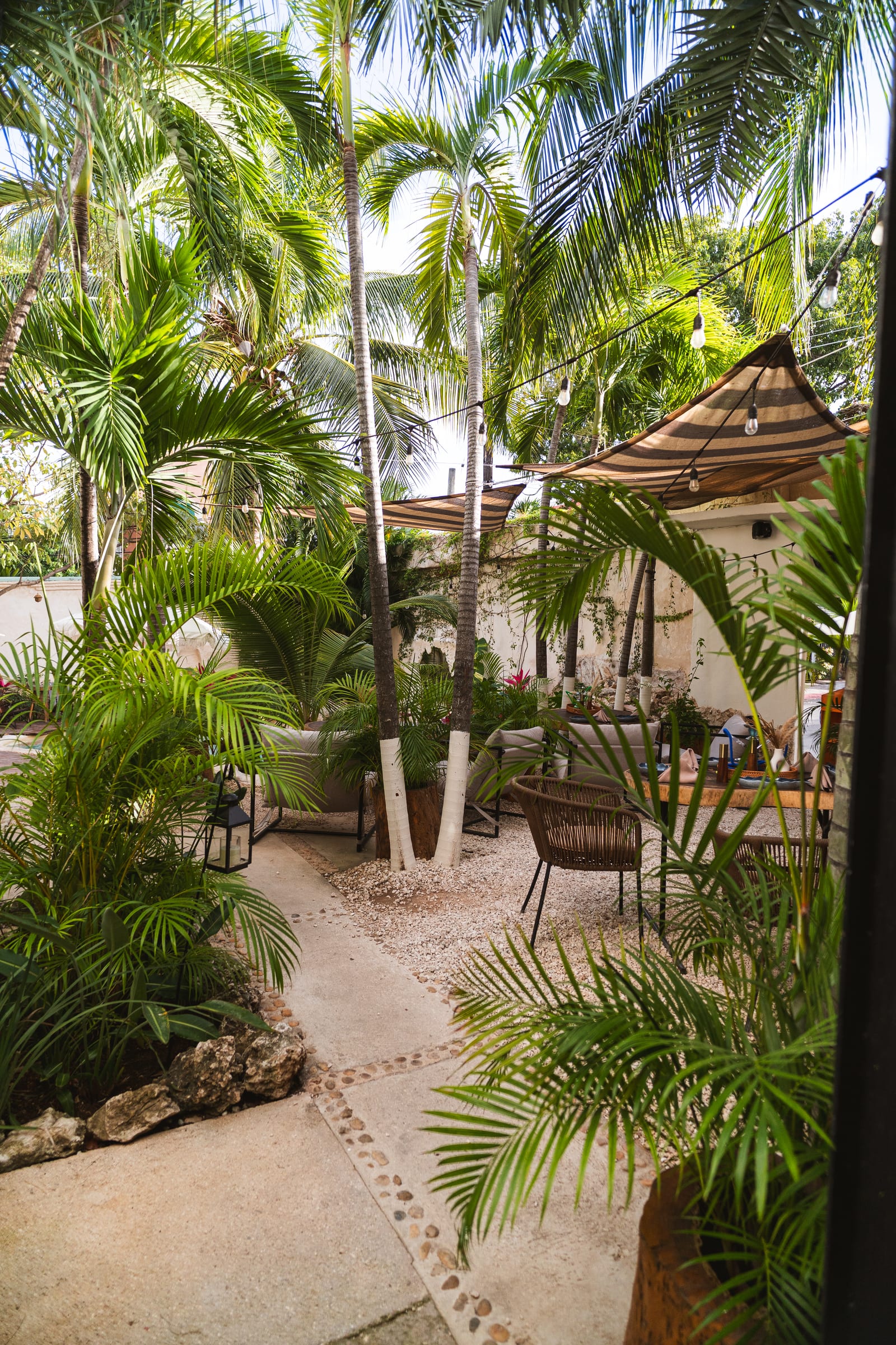 MERO 18's jungle garden with palm trees, shade sails and warm string lights