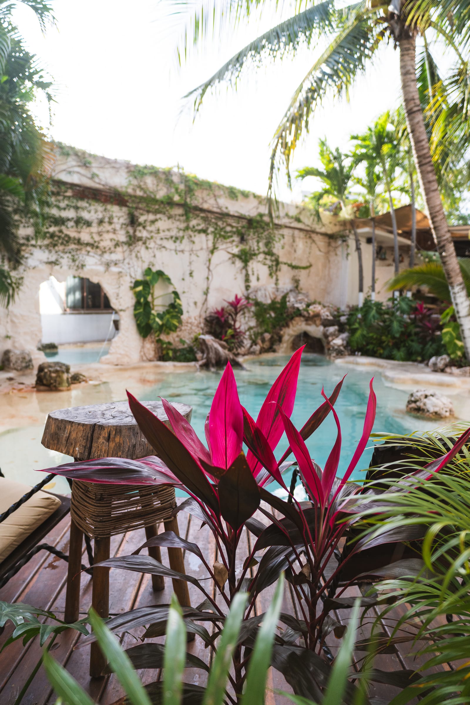 Corner of MERO 18's garden with pink plants beside the turquoise pool