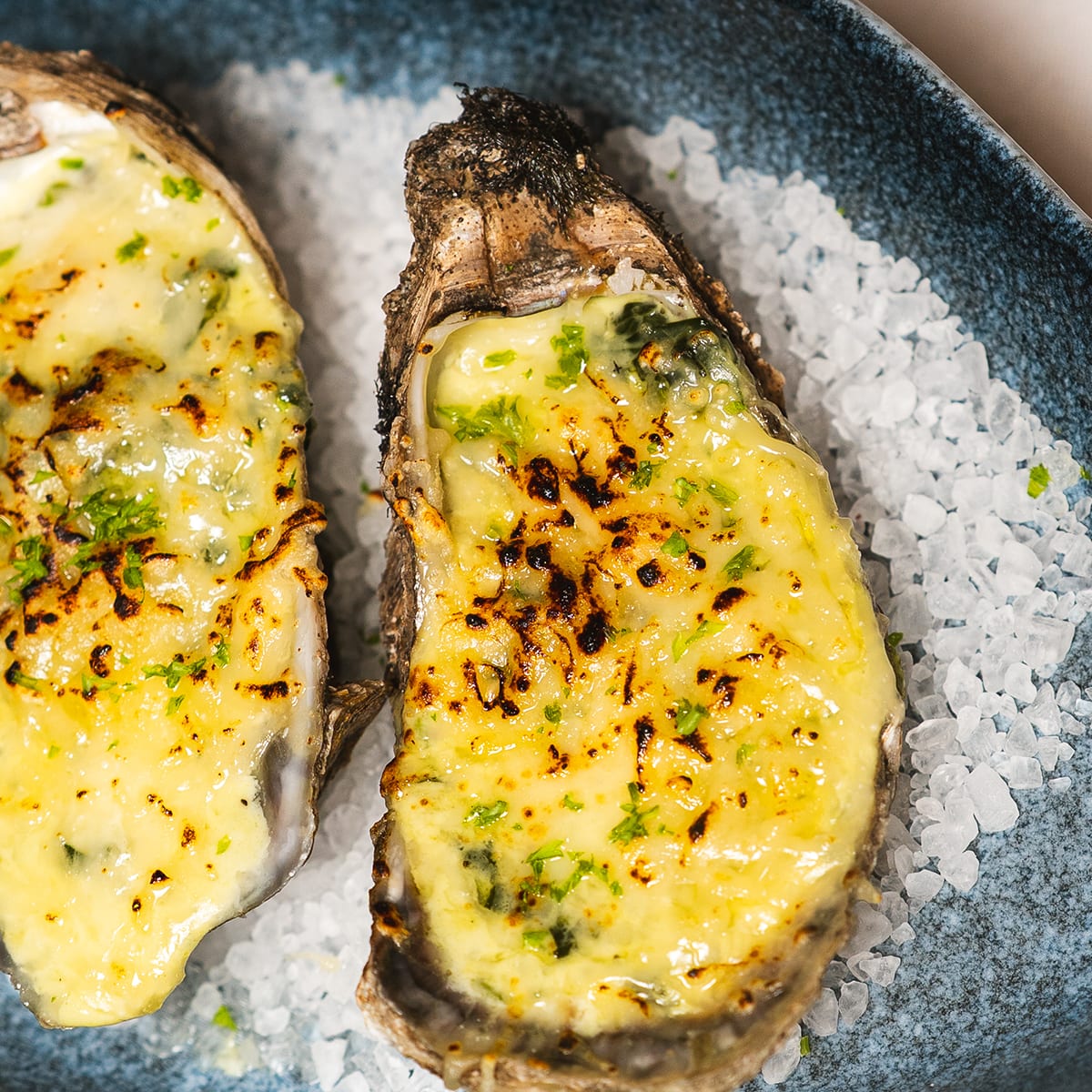 Ostiones Rockefeller gratinados con mantequilla de hierbas, servidos sobre sal gruesa en plato azul en MERO 18, Cancún